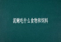 泥鳅吃什么食物和饲料