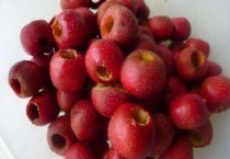 山楂籽能种出来吗？