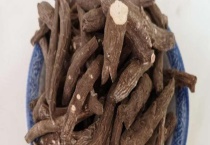 一枝蒿有毒吗？