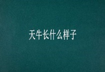 天牛长什么样子