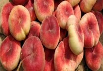 四川适合种什么水果？为什么适合