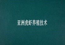 亚洲虎虾养殖技术