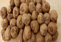 魔芋种子多少钱一斤 附市场行情和影响价格的因素