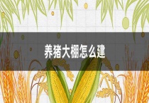 养猪大棚怎么建