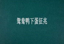 鸳鸯鸭下蛋征兆