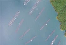 水产养殖需要什么资质