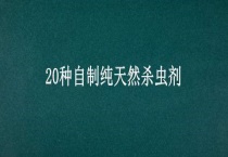 20种自制纯天然杀虫剂