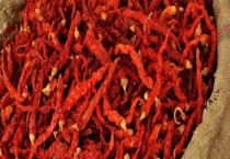 二荆条和线椒的区别？