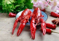 龙虾煮多久才能杀死寄生虫