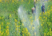 乙羧氟草醚使用范围 附用法用量及注意事项