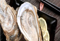 新鲜带壳生蚝的保存方法 带壳的生蚝怎么吃
