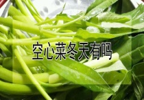 空心菜冬天有吗？