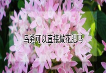 鸟粪可以直接做花肥吗？