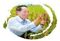 什么是杂交什么是自交