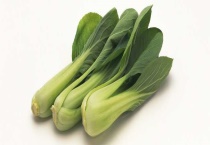 青菜不长是什么原因？