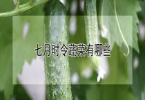 七月时令蔬菜有哪些？