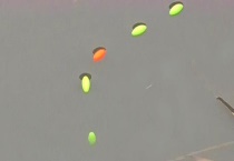 黑坑为什么禁七星漂？使用七星漂会扰乱鱼情吗？