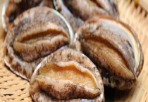 怎么做清蒸鲜鲍鱼 宝宝可不可以吃鲍鱼