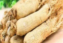 白参和西洋参的区别？