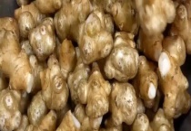 洋姜可不可以生吃 洋姜怎么做好吃