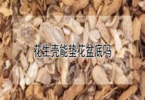 花生壳能垫花盆底吗？