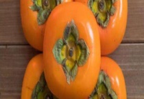 柿子怎么催熟快 如何判断柿子是否成熟