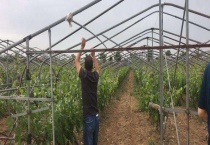 农业安全生产综合知识 不同环境下怎么应对