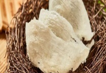 燕窝是如何形成的 该怎么烹制