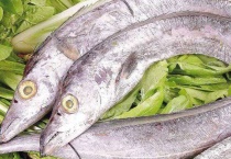 带鱼是鱼类吗？