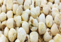 干莲子生吃可以吗 附干莲子的食用禁忌