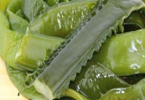 海白菜可不可以生吃 附海白菜的常见吃法