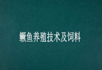 鳜鱼养殖技术及饲料