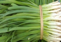 韭菜种子价格及种植方法 附播种方法与病虫害防治