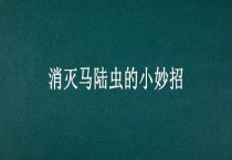 消灭马陆虫的小妙招