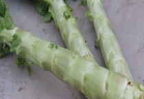 山东莴苣什么时候种植 山东莴苣该怎么种