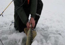 冰钓什么时候好钓？附钓点的选择