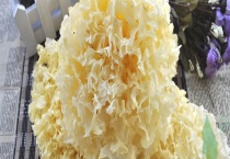 放久发黄的银耳还可以吃吗 什么样的银耳是变质了的