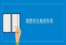 钼肥对豆角的作用