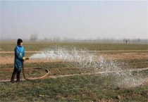 小麦浇冻水的好处