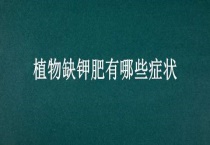 植物缺钾肥有哪些症状