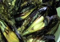 淡菜多少钱一斤？附挑选方法、食用功效及食用多久？