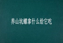 养山坑螺拿什么给它吃