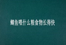鲫鱼喂什么粮食物长得快