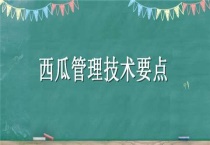 西瓜管理技术要点