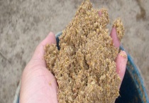 豆渣可以做花肥吗？