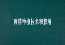 黄精种植技术和栽培