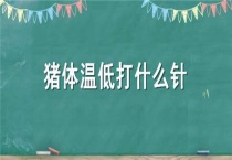 猪体温低打什么针