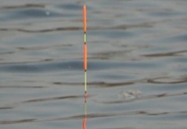 黑漂是什么意思？形成的原因是什么？