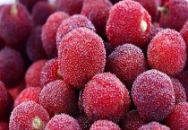 白杨梅与红杨梅的区别？