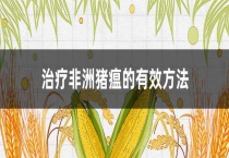 治疗非洲猪瘟的有效多久？